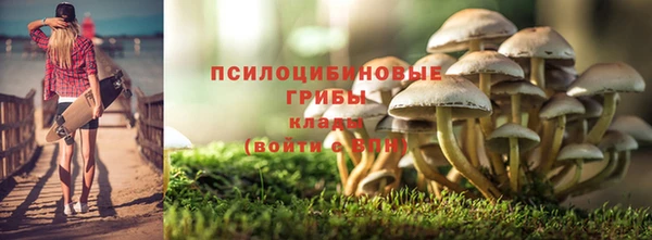 герыч Алексин