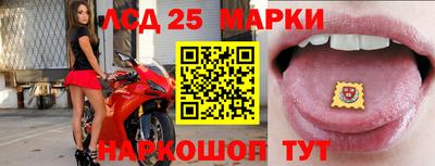 молекула духа Заволжье