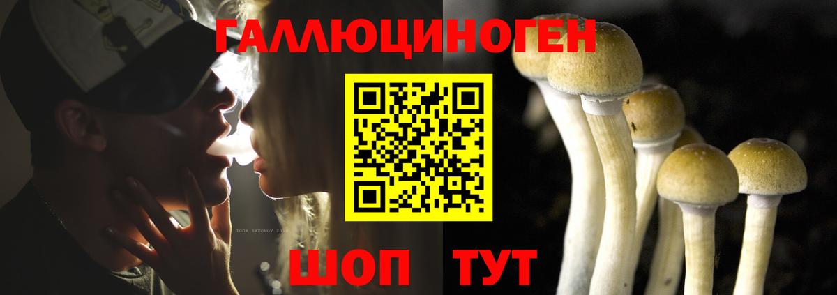 Псилоцибиновые грибы MAGIC MUSHROOMS  сколько стоит  Магадан  Вход с VPN  Псилоцибиновые грибы ЛСД 